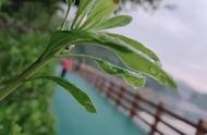 網(wǎng)店轉(zhuǎn)讓網(wǎng)站 天貓店鋪轉(zhuǎn)讓出售網(wǎng)