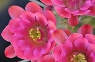 黑牛公司網(wǎng)站 查詢公司的網(wǎng)站