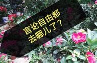 美國tdi公司網站 公司網站費用