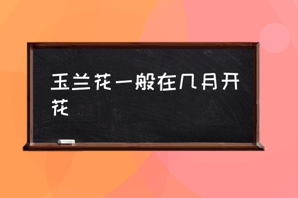 玉蘭花一般在幾月開(kāi)花 玉蘭花是什么季節(jié)開(kāi)？