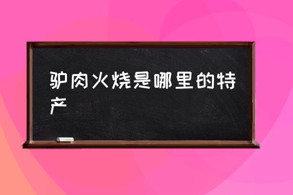 驢肉火燒是哪里的特產(chǎn) 哪的驢肉火燒最正宗？