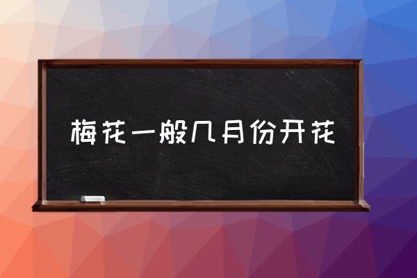 梅花一般幾月份開(kāi)花 梅花什么時(shí)間開(kāi)放？
