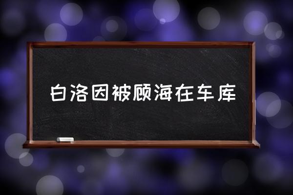 白洛因被顧海在車(chē)庫(kù) 家居用品，你還敢網(wǎng)購(gòu)嗎？