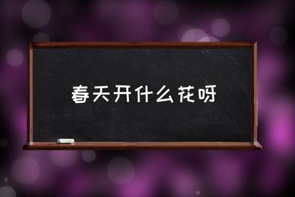 春天開什么花呀 春天有哪些花會開？