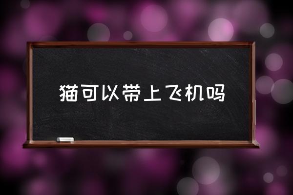 貓可以帶上飛機(jī)嗎 高鐵能帶小貓嗎？