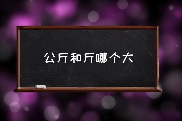 公斤和斤哪個大 一斤等于多少兩？