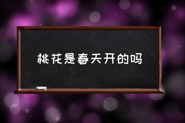 桃花是春天開(kāi)的嗎 桃花是在什么季節(jié)開(kāi)花的？