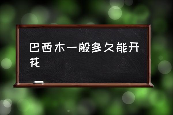巴西木一般多久能開花 巴西木幾年開花？