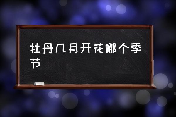 牡丹幾月開花哪個季節(jié) 牡丹多久開花？