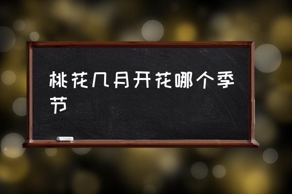 桃花幾月開花哪個季節(jié) 桃花什么時間開最好？