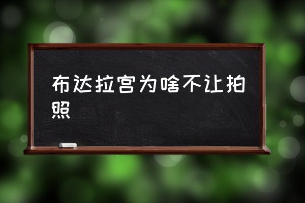 布達(dá)拉宮為啥不讓拍照 布達(dá)拉宮地理位置分析？