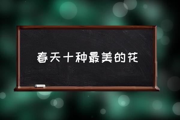 春天十種最美的花 春天最美的花有哪些？