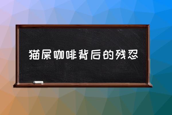 貓屎咖啡背后的殘忍 貓屎咖啡真的是貓屎嗎？