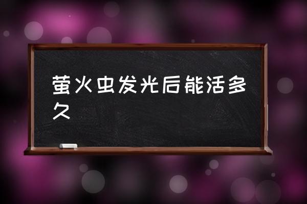 螢火蟲發(fā)光后能活多久 瑩火蟲為什么會(huì)發(fā)光？