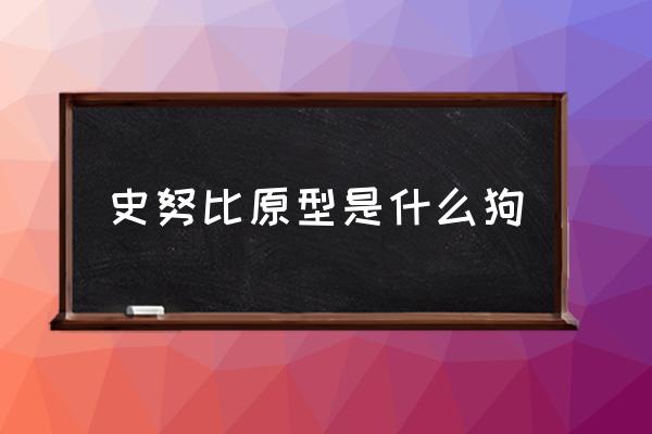 史努比原型是什么狗 史努比原型犬優(yōu)缺點(diǎn)？