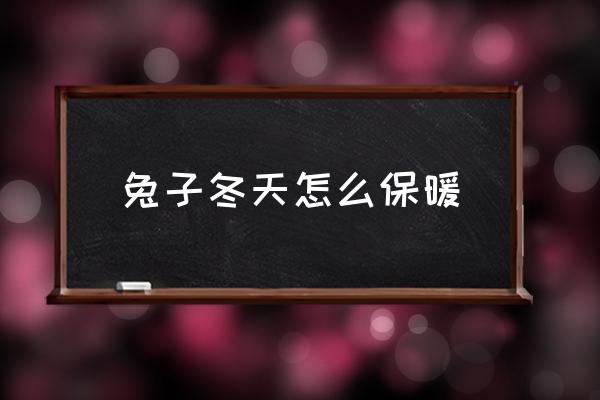 兔子冬天怎么保暖 兔子冬眠嗎？