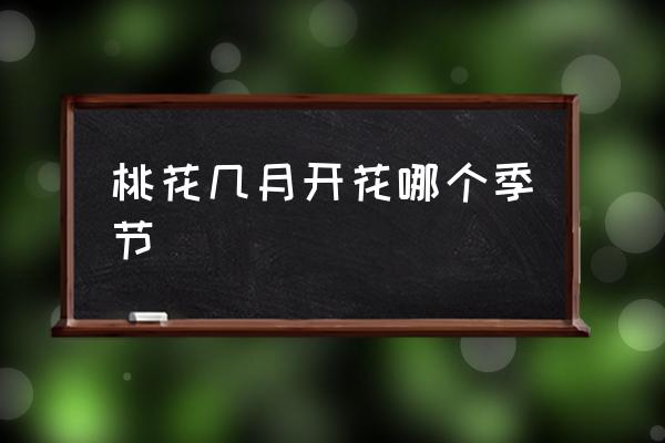 桃花幾月開花哪個季節(jié) 桃花的花期通常？