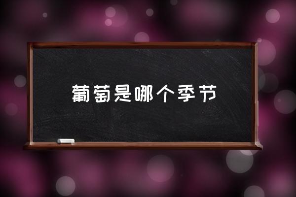 葡萄是哪個季節(jié) 葡萄發(fā)芽到成熟多久？