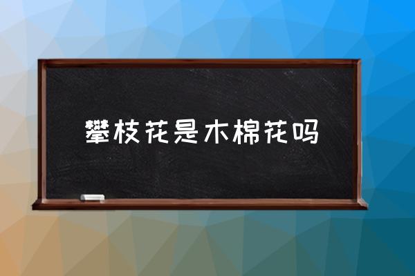 攀枝花是木棉花嗎 攀枝花是什么花？