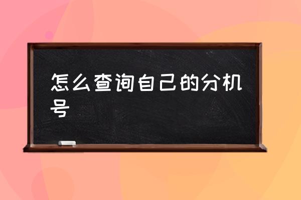怎么查詢自己的分機號 京東分機號是什么？