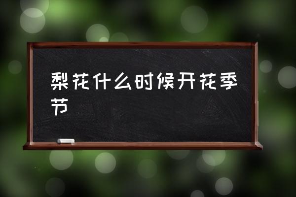 梨花什么時(shí)候開花季節(jié) 梨花在幾年開？