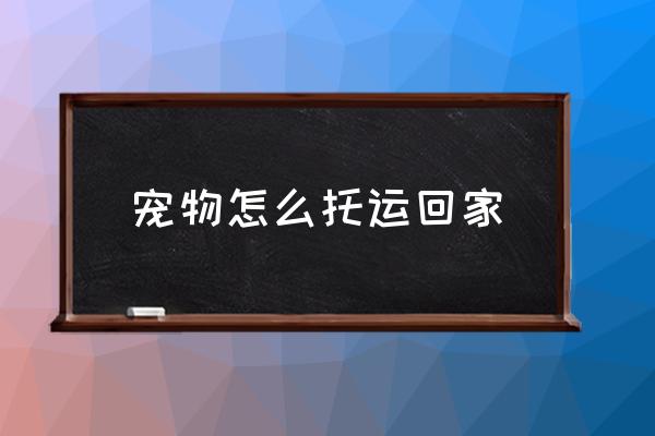 寵物怎么托運(yùn)回家 寵物上高鐵要什么手續(xù)？