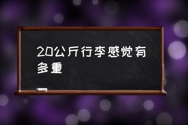 20公斤行李感覺有多重 20kg等于多少公斤？