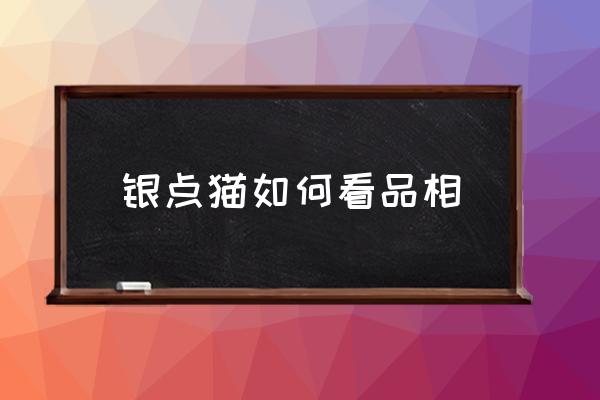 銀點(diǎn)貓如何看品相 銀點(diǎn)貓品種？