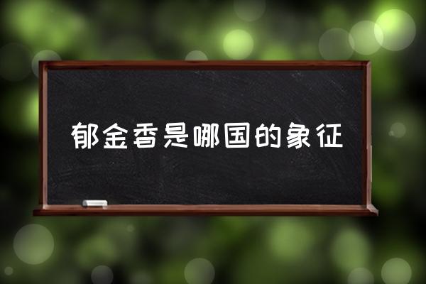 郁金香是哪國(guó)的象征 荷蘭種植郁金香用途？