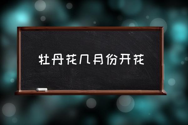 牡丹花幾月份開花 牡丹開放時間和預(yù)兆？