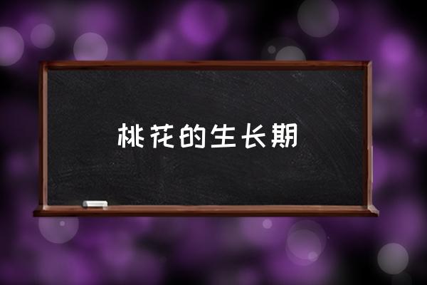 桃花的生長期 桃花什么時候開花？
