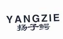 揚子鱷