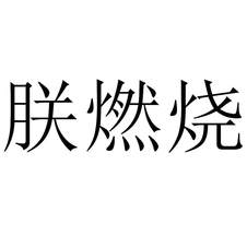 朕燃燒