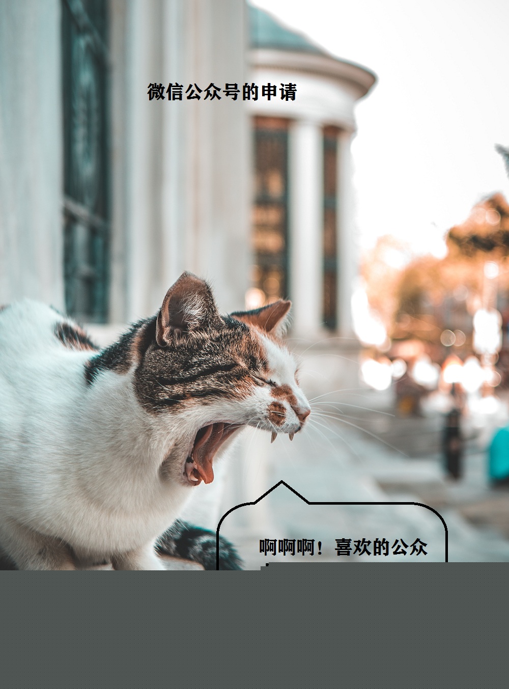 2382064ee4a290cac97807e0c3b52fc4.jpg