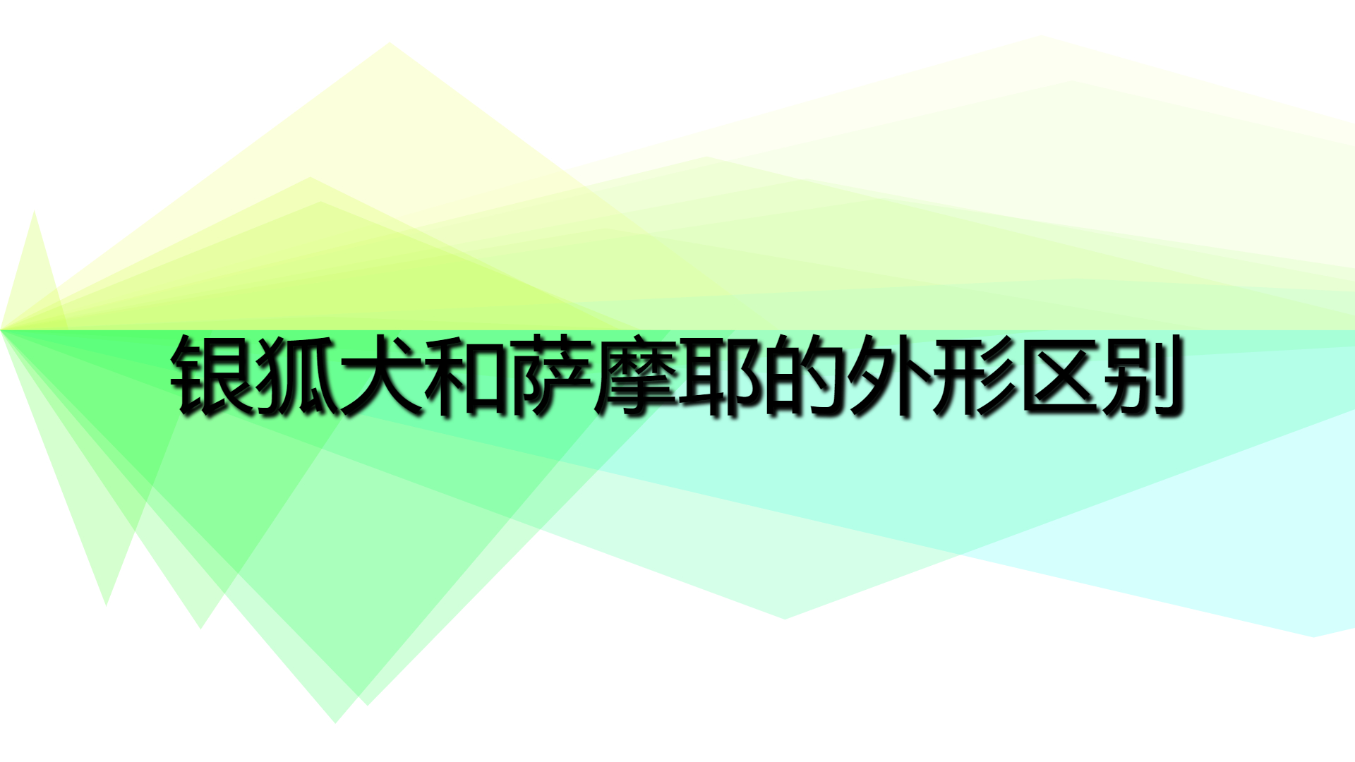 cc03e05451b5f6940f15f3afa10dc4df.jpg cc03e05451b5f6940f15f3afa10dc4df.jpg