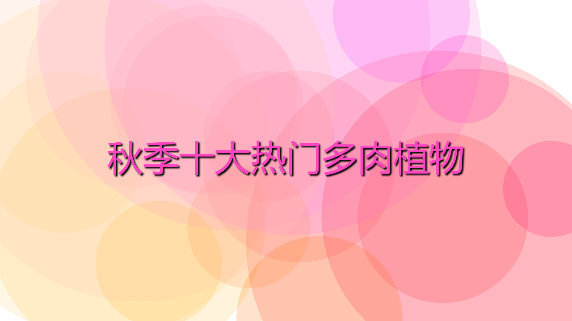 4fa18fc6905f2cf98fa59d9250d72b77.jpg 4fa18fc6905f2cf98fa59d9250d72b77.jpg