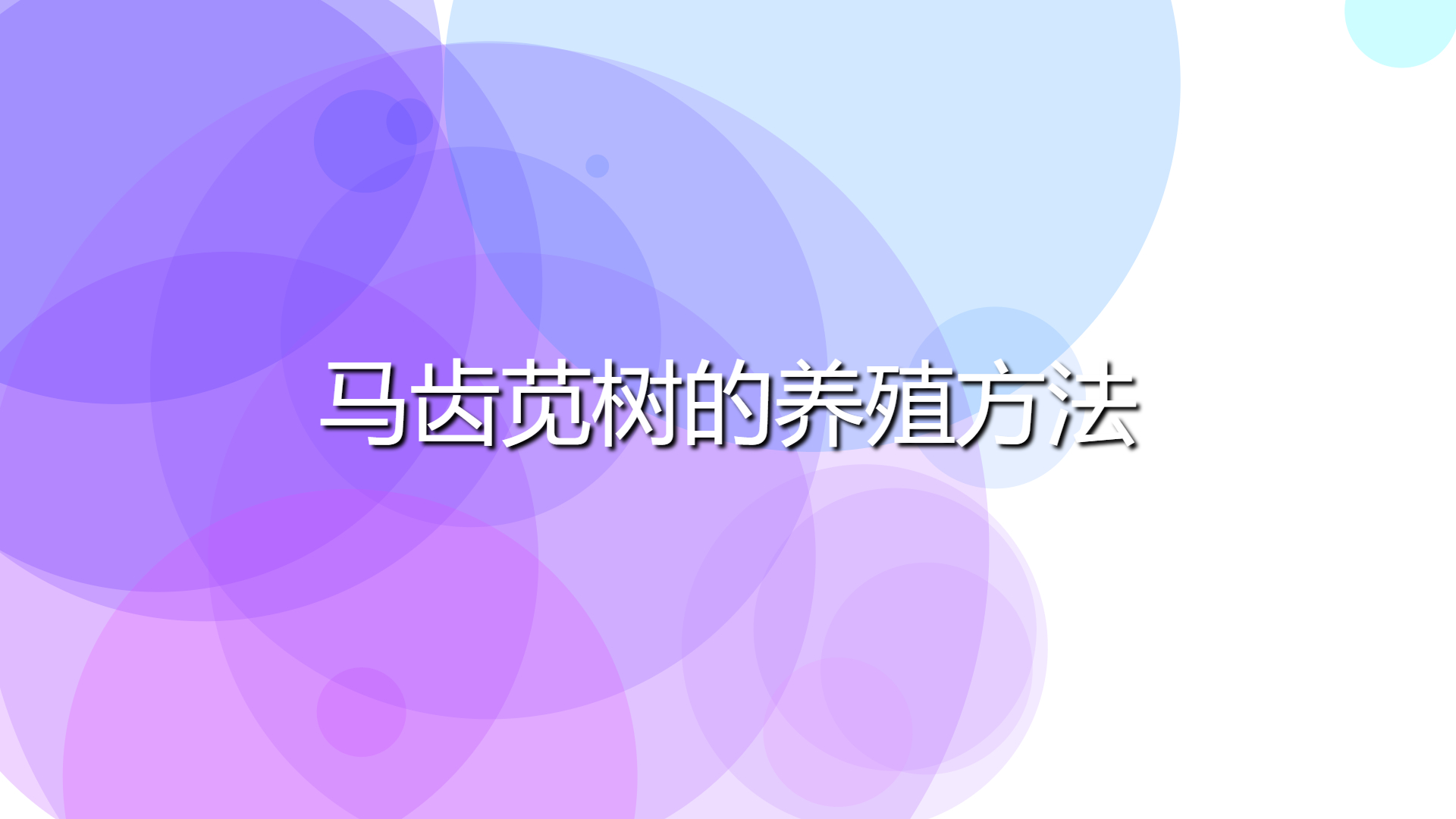 f5561a58a041b4294952b6a1918bdd5a.jpg