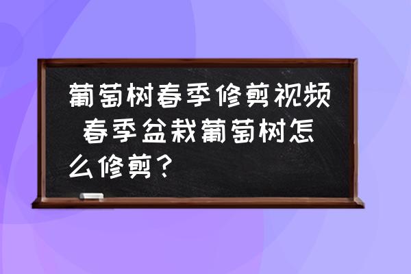 葡萄樹春季修剪視頻 春季盆栽葡萄樹怎么修剪？