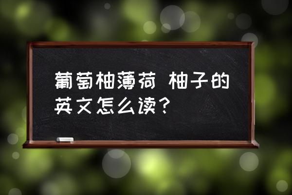葡萄柚薄荷 柚子的英文怎么讀？