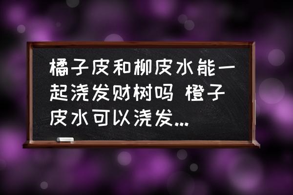 橘子皮和柳皮水能一起澆發(fā)財(cái)樹(shù)嗎 橙子皮水可以澆發(fā)財(cái)樹(shù)嗎？