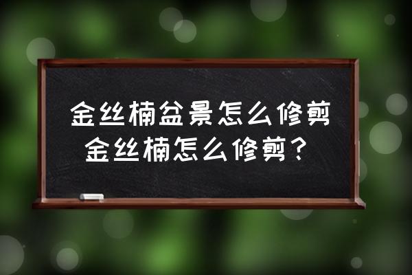 金絲楠盆景怎么修剪 金絲楠怎么修剪？