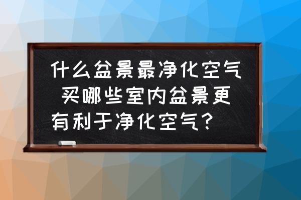 什么盆景最凈化空氣 買哪些室內(nèi)盆景更有利于凈化空氣？