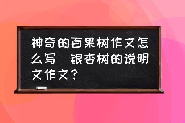 神奇的百果樹作文怎么寫(銀杏樹的說明文作文？)