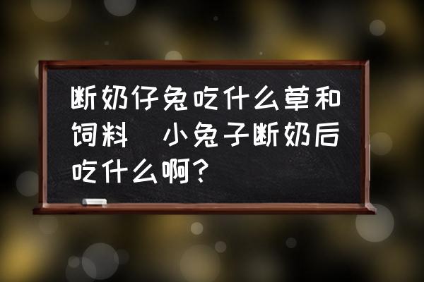 斷奶仔兔吃什么草和飼料(小兔子斷奶后吃什么啊？)