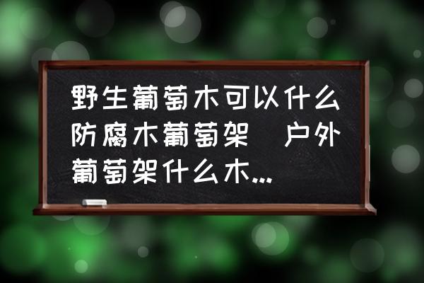 野生葡萄木可以什么防腐木葡萄架(戶外葡萄架什么木頭好？)