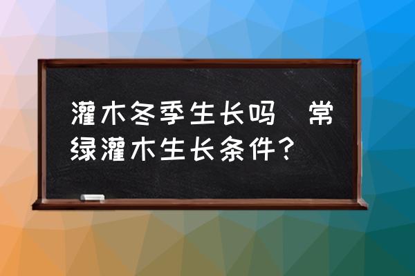 灌木冬季生長嗎(常綠灌木生長條件？)