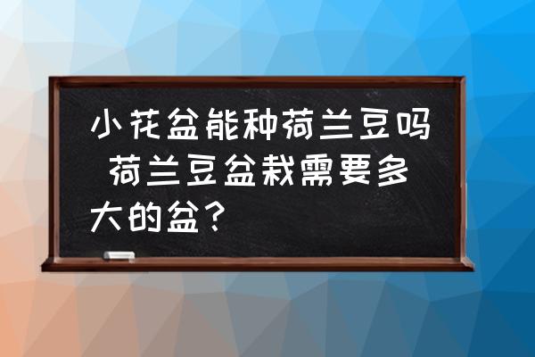 小花盆能種荷蘭豆嗎 荷蘭豆盆栽需要多大的盆？