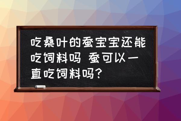 吃桑葉的蠶寶寶還能吃飼料嗎 蠶可以一直吃飼料嗎？