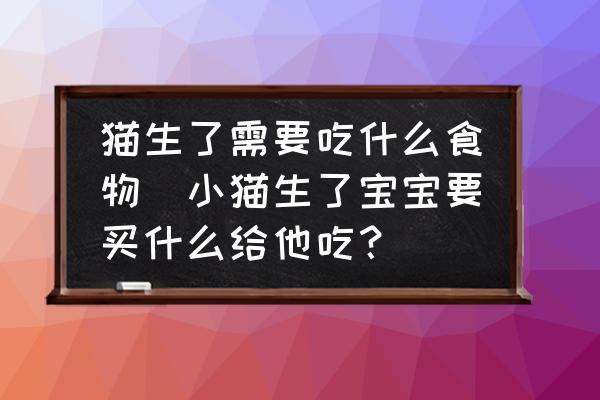 貓生了需要吃什么食物(小貓生了寶寶要買什么給他吃？)