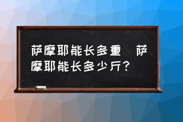 薩摩耶能長(zhǎng)多重(薩摩耶能長(zhǎng)多少斤？)